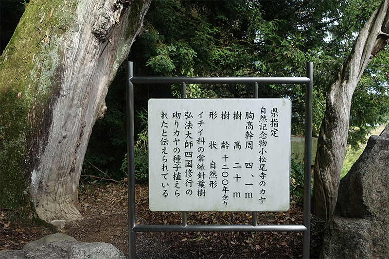 弘法大師お手植えの看板