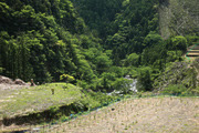 風景