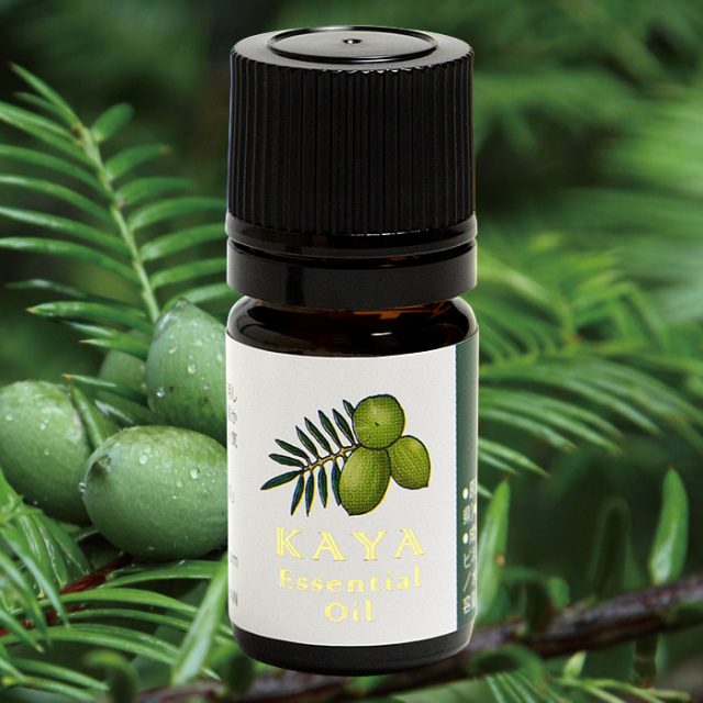 榧精油/エッセンシャルオイル(5mL)